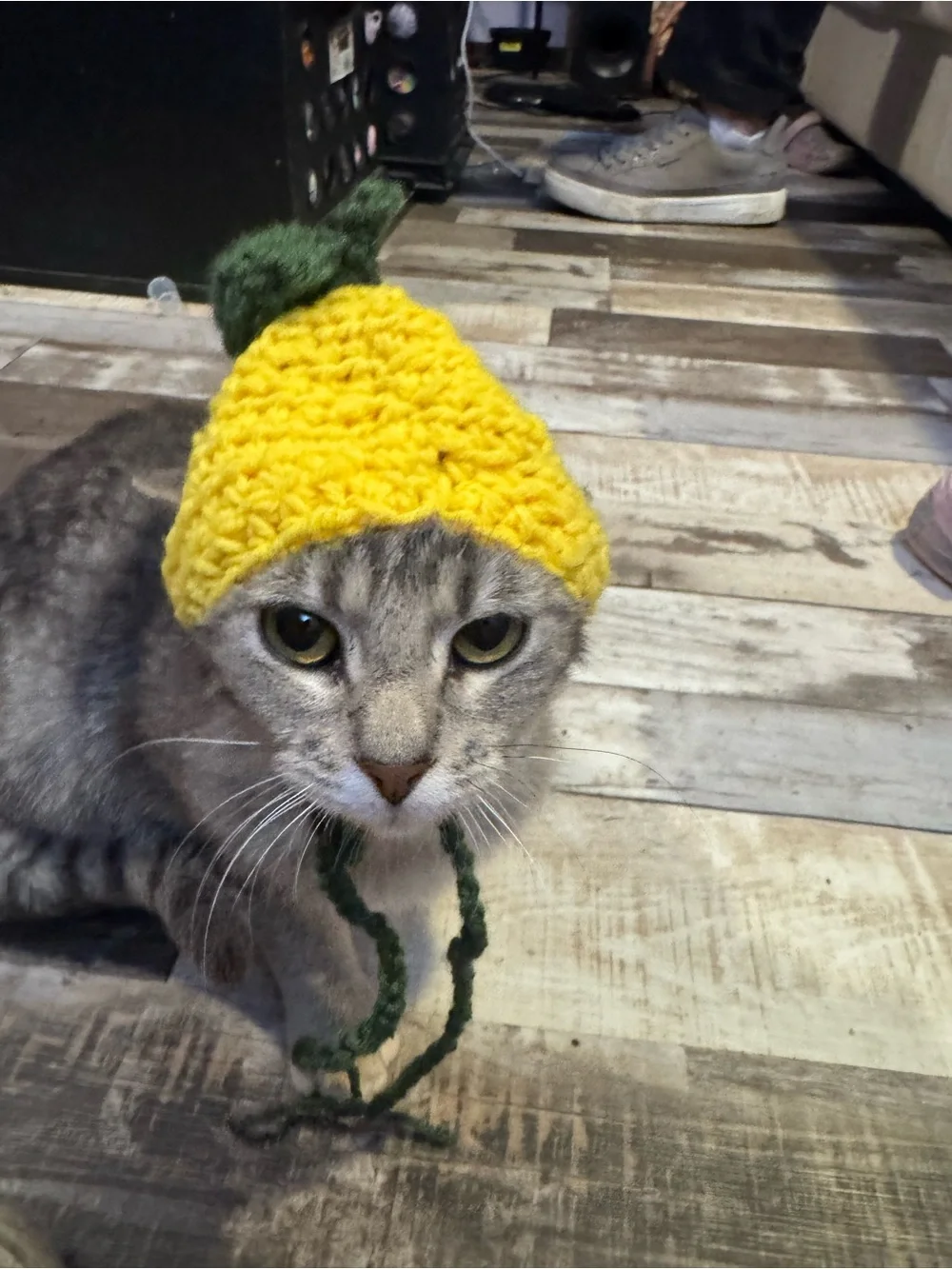 Handmade Lemon Cat Hat with Green Leaf Accent